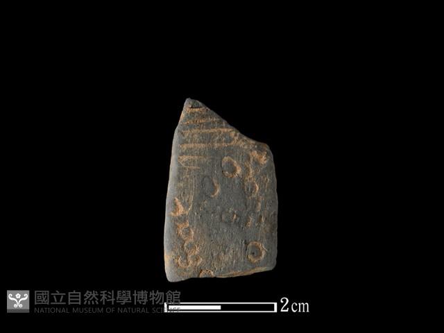 陶片藏品圖，第1張