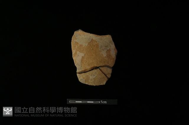 陶片藏品圖，第1張