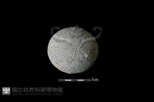 Accession Number:HLL-H-ST259 Collection Image, Figure 1, Total 2 Figures