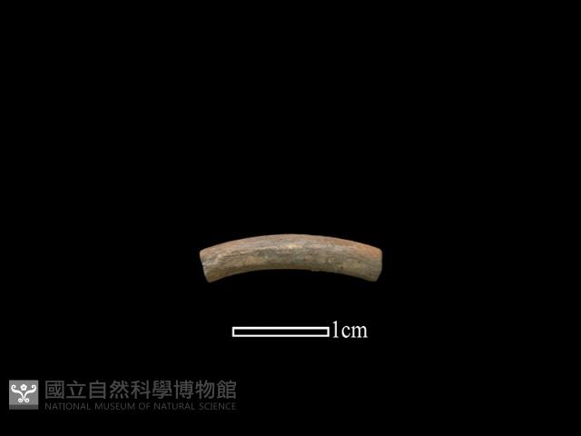 陶環藏品圖，第1張