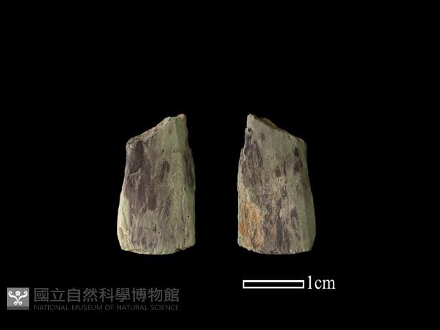 矛鏃形器藏品圖，第1張