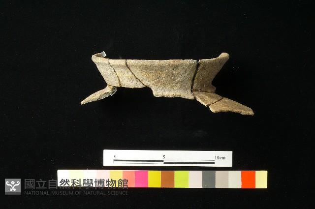 陶罐藏品圖，第2張