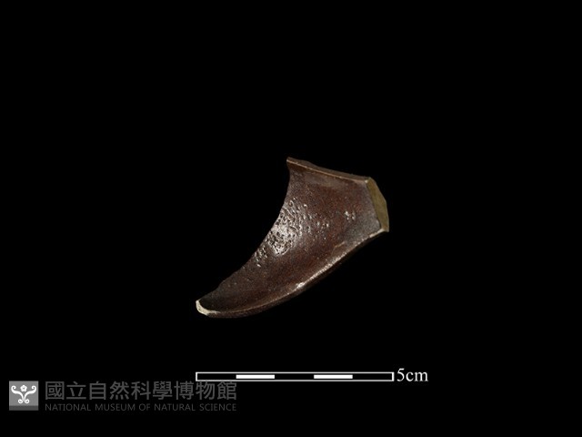 湯匙藏品圖，第1張