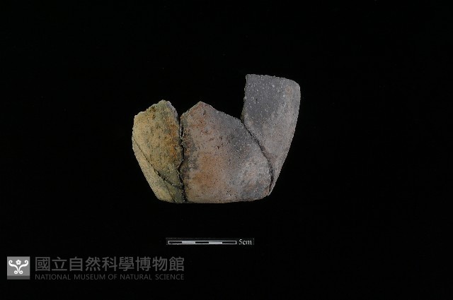 陶片藏品圖，第2張