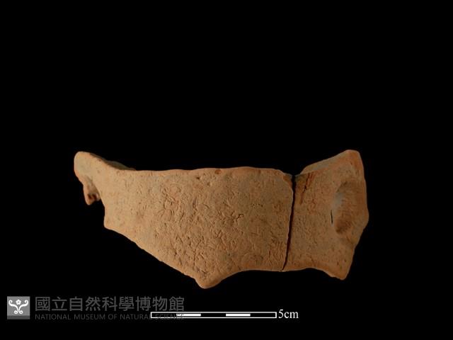 陶片藏品圖，第2張