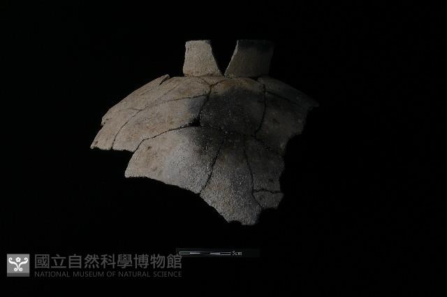 陶罐藏品圖，第2張