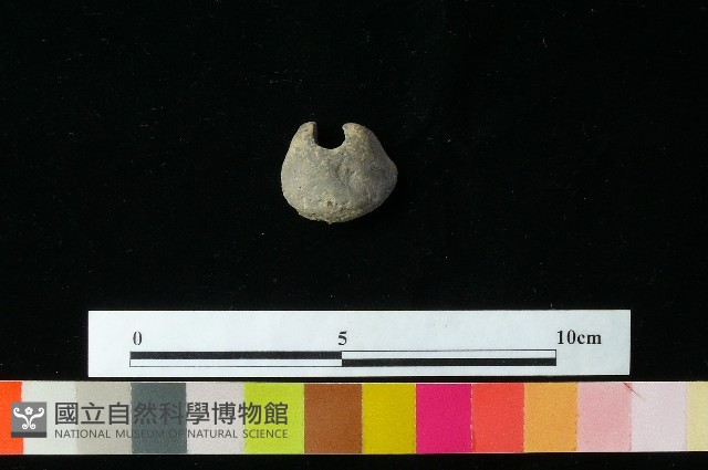 紡輪藏品圖，第2張