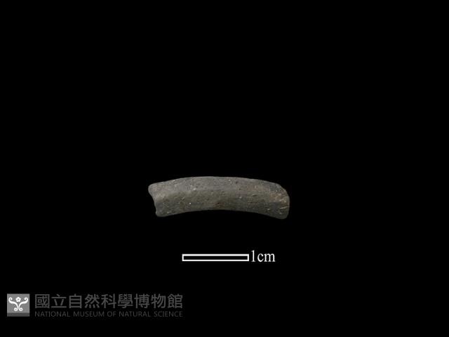 陶環藏品圖，第1張