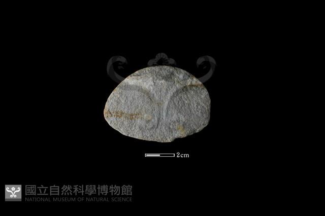 石片器藏品圖，第1張