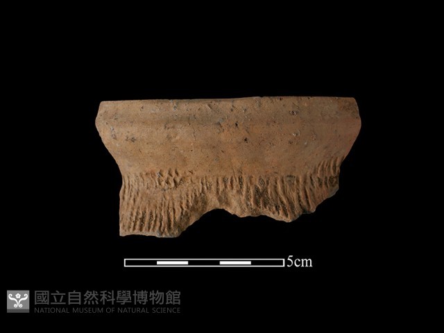 陶罐藏品圖，第2張