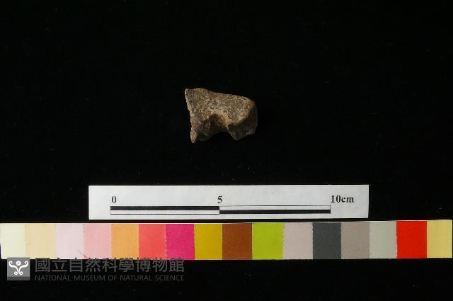 陶鈕藏品圖，第2張