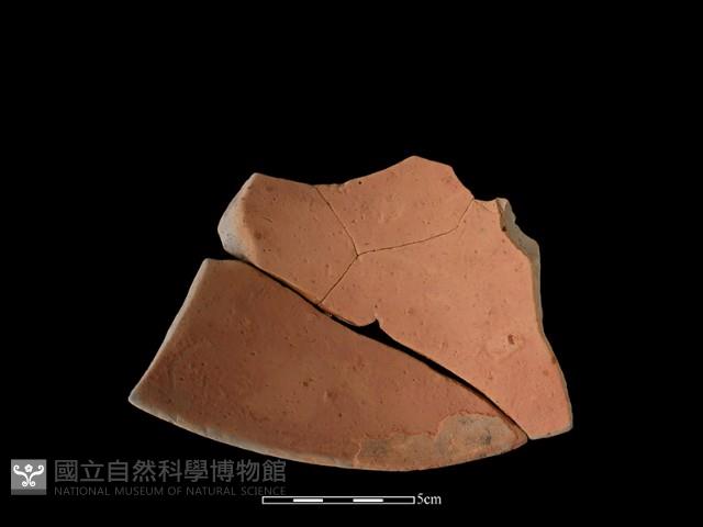 陶片藏品圖，第2張