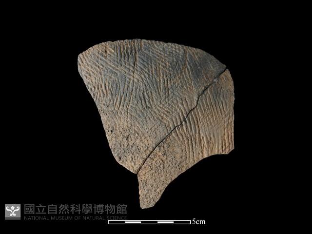 陶片藏品圖，第1張