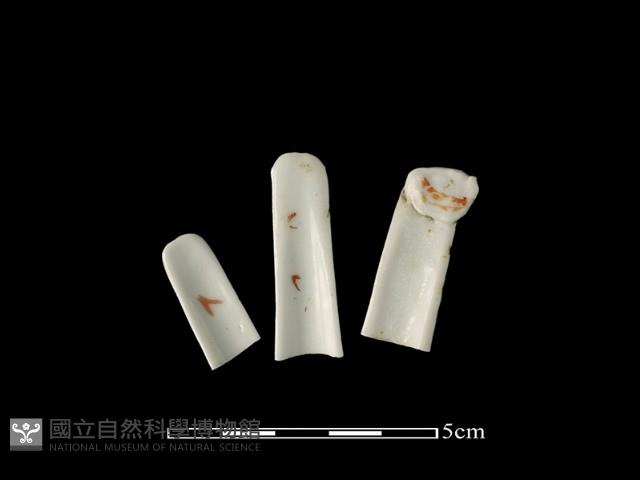 Accession Number:TCCC-2013-0449 Collection Image