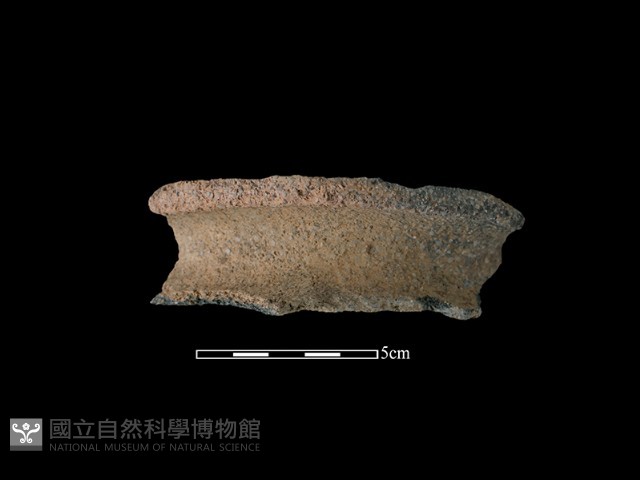 陶罐藏品圖，第1張