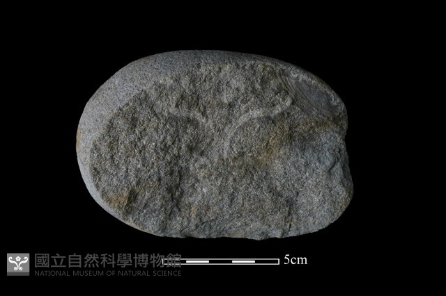 石核藏品圖，第1張