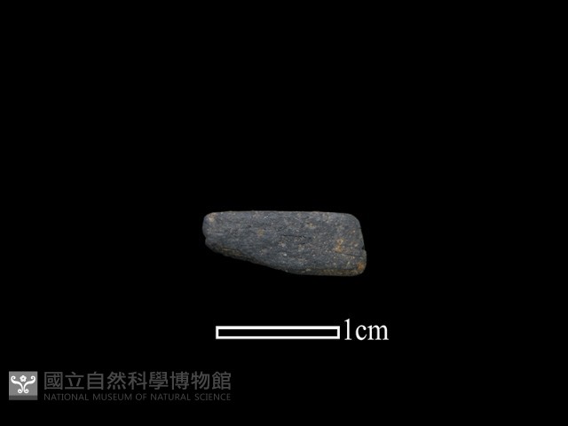 陶環藏品圖，第1張
