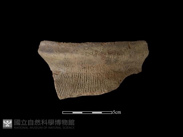 陶罐藏品圖，第2張