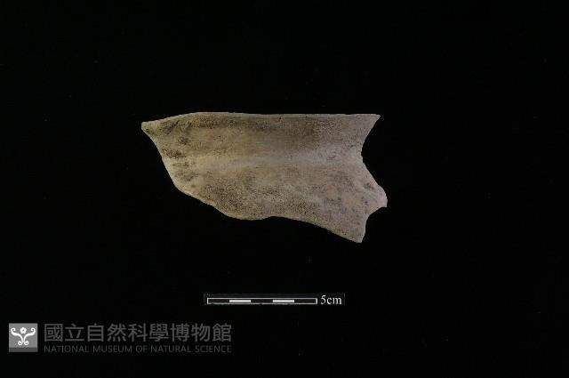 陶罐藏品圖，第2張