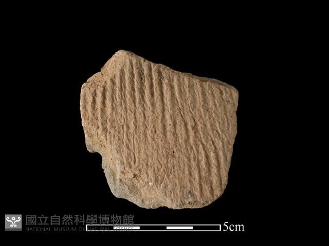 陶片藏品圖，第1張