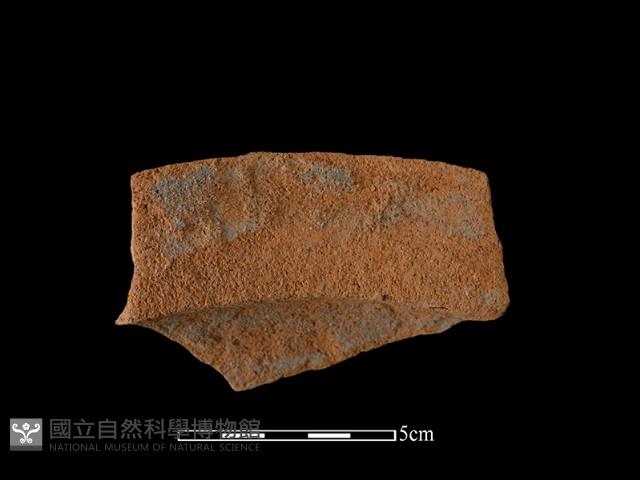 Accession Number:NSKII-2017-279 Collection Image, Figure 2, Total 2 Figures