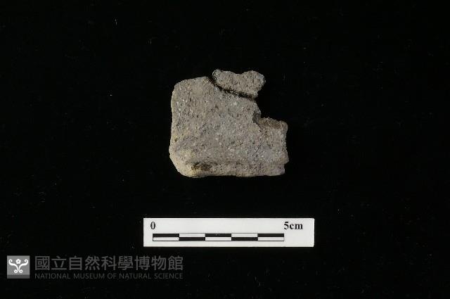 陶罐藏品圖，第1張