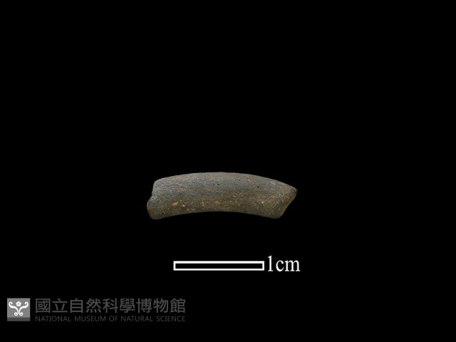 陶環藏品圖，第1張