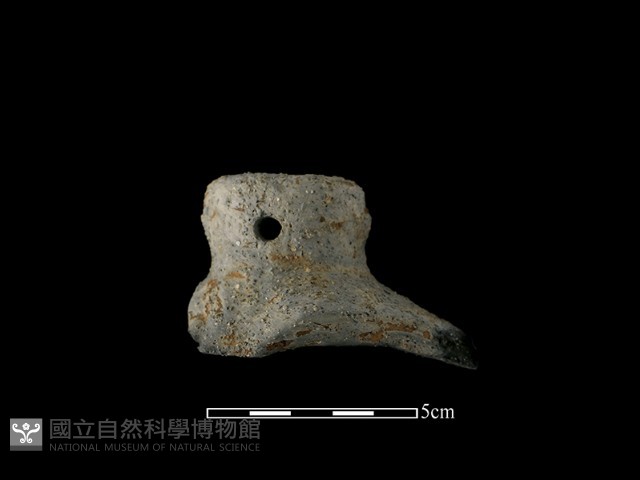 陶蓋鈕藏品圖，第2張