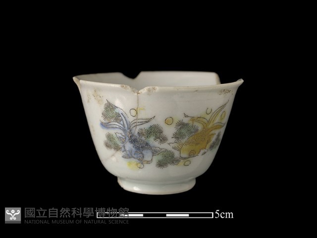 瓷杯藏品圖，第1張