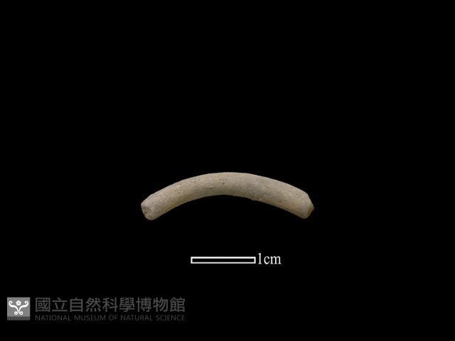 陶環藏品圖，第1張