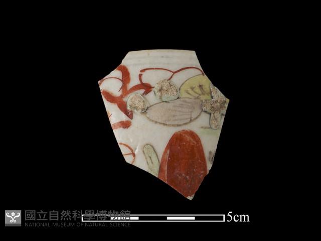 瓷片藏品圖，第1張