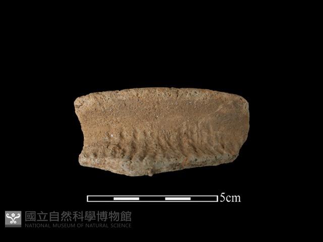 陶罐藏品圖，第1張