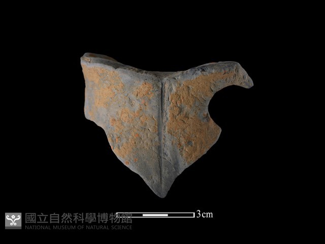 陶片藏品圖，第2張