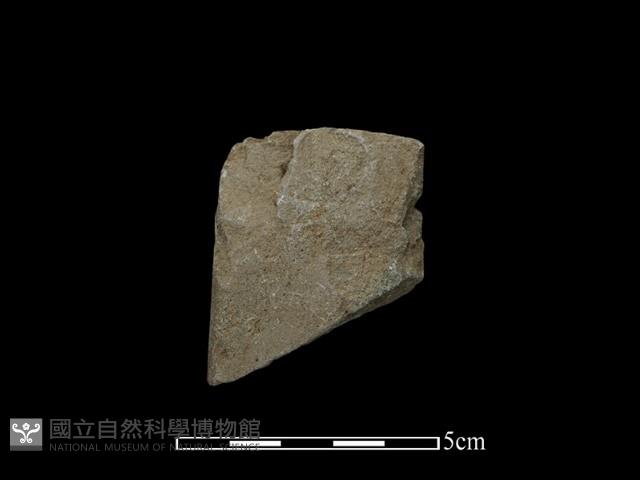 錛鑿形器藏品圖，第1張