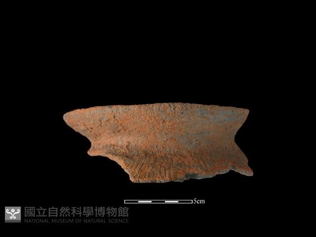 陶罐藏品圖，第2張