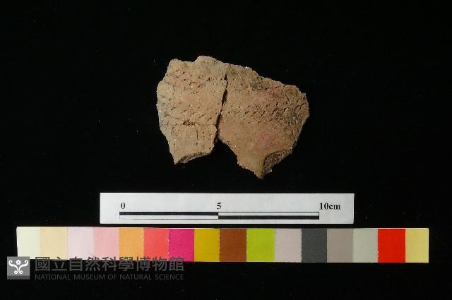 陶片藏品圖，第2張