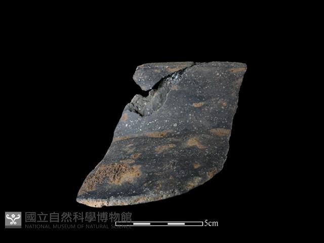 陶罐藏品圖，第1張