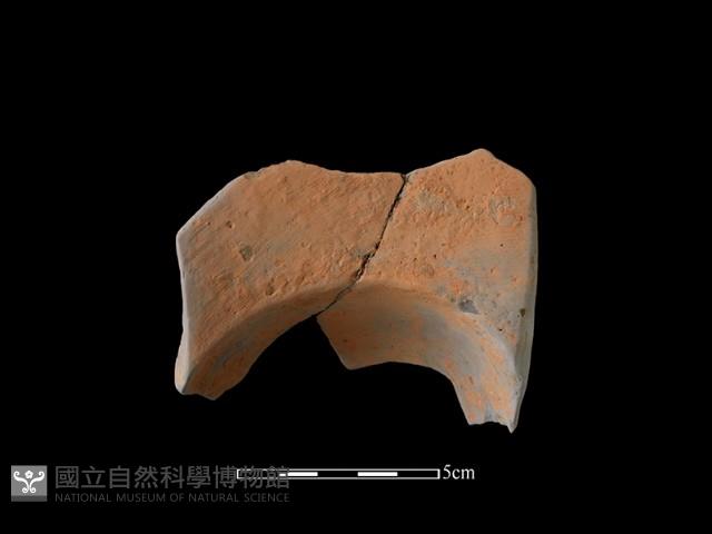 連杯形器藏品圖，第1張