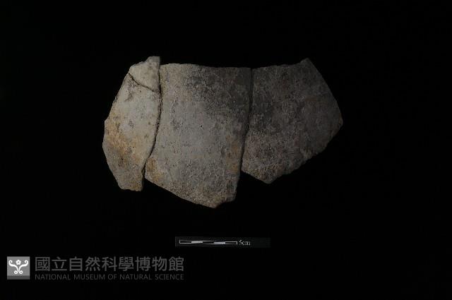 陶片藏品圖，第2張