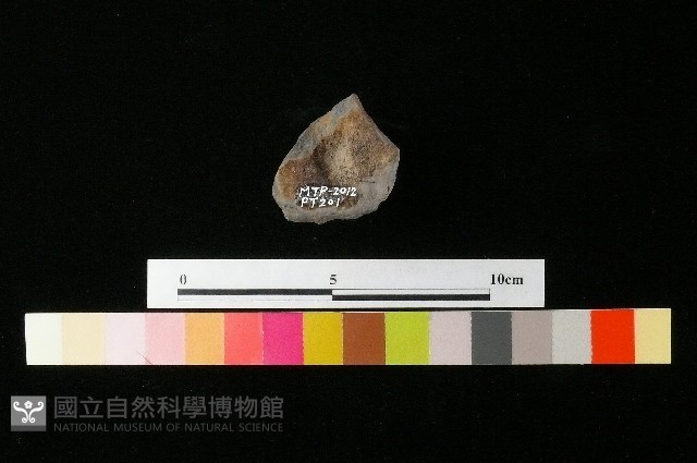 陶蓋藏品圖，第2張