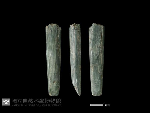 錛鑿形器藏品圖，第1張