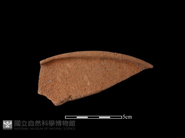 陶片藏品圖，第1張