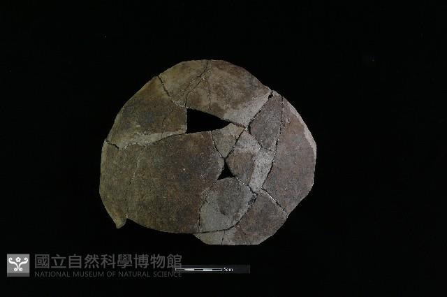 陶罐藏品圖，第1張