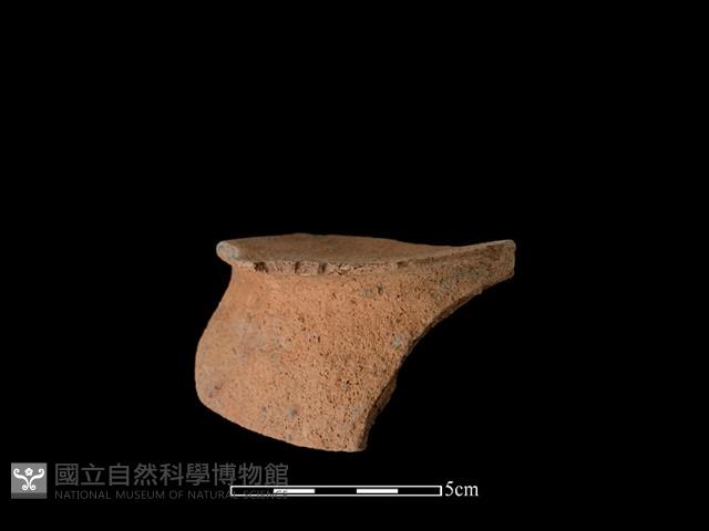 陶片藏品圖，第2張