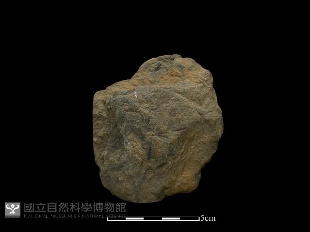 斧鋤形器藏品圖，第1張