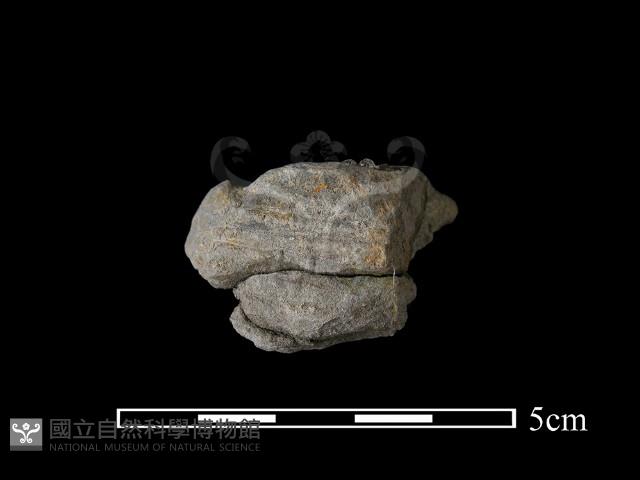 石棒藏品圖，第1張