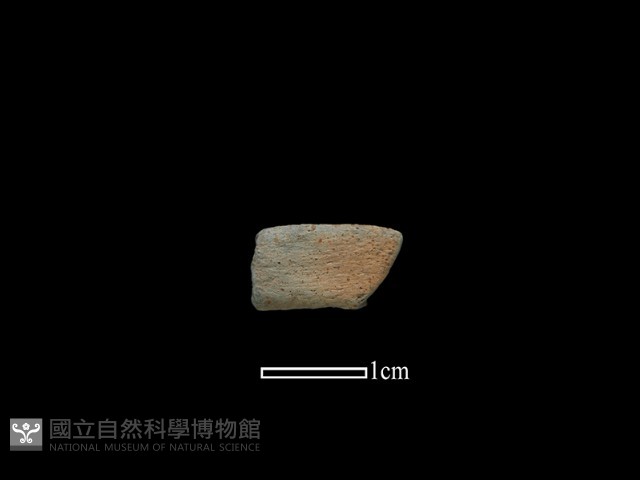 陶環藏品圖，第1張