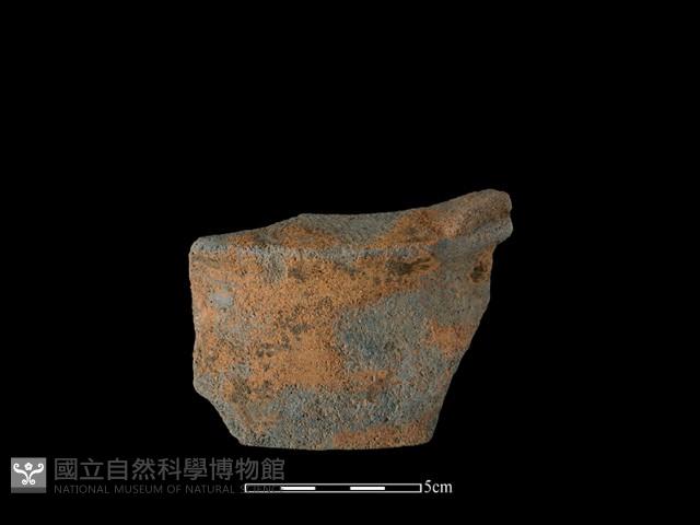 陶片藏品圖，第2張