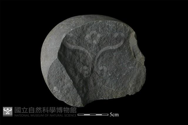 石核藏品圖，第1張