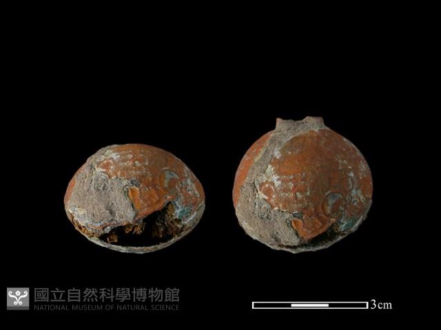銅鈴藏品圖，第1張